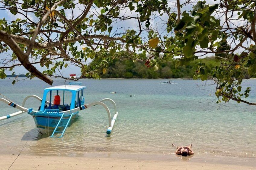 A clear shallow water body with a boat docked on the left and a small animal on the shore. 4