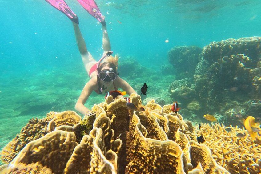 A person snorkeling underwater with coral formations and fish. 2