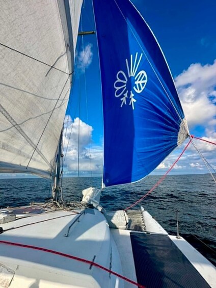 A sailboat with a blue sail and a white sail, sailing on the water. 4