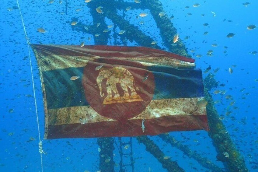 An underwater flag with a central emblem, surrounded by marine life. 2