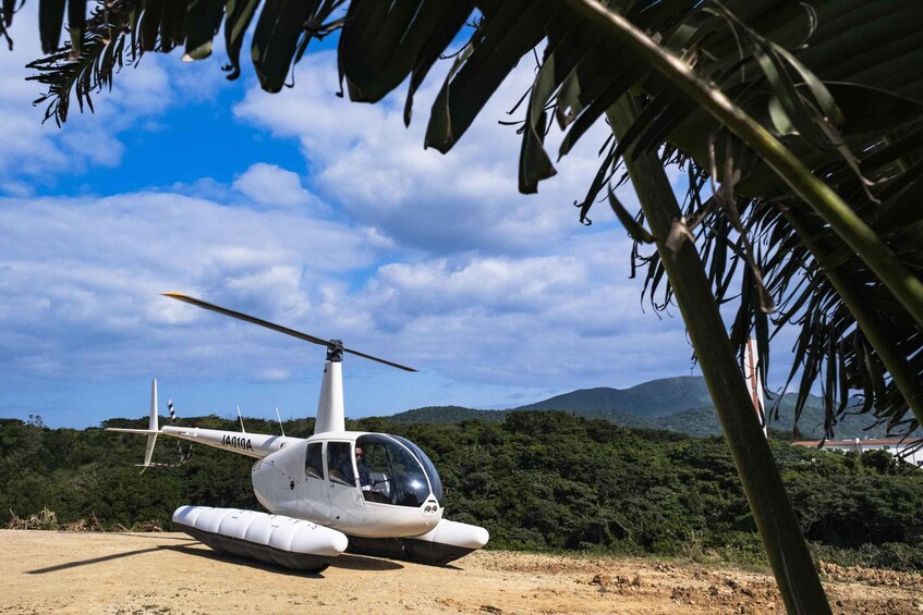 A white helicopter with 'JAPAN' on its side parked on a dirt surface, surrounded by greenery and mountains in the background. 1
