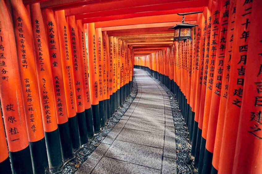 Kyoto: Private Luxury Car Tour with Matcha Experience 1