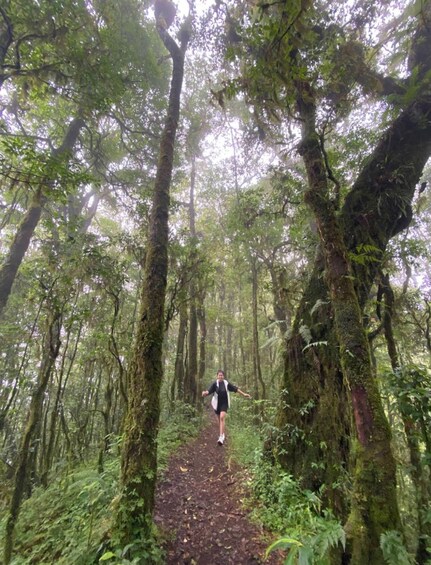 Picture 5 for Activity Bali: Mount Lesung Rainforest Trekking & Picnic Experience 5