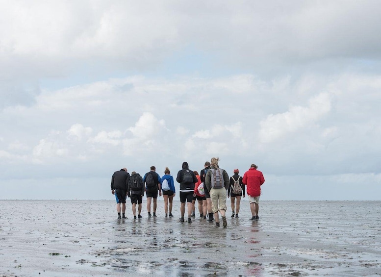 A group of people standing on a beach with a cloudy sky above. 1