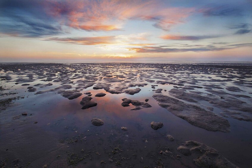 A beach with scattered rocks and a sunset. 2
