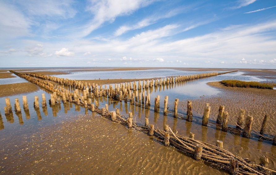 A coastal landscape with wooden stakes forming a barrier in the water. 3