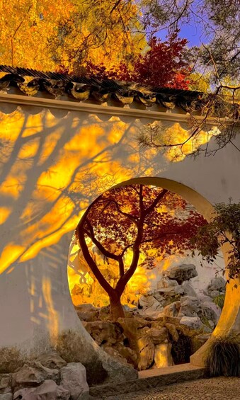 Picture 2 for Activity Suzhou: Lion Forest Garden Ticket and Photos 3