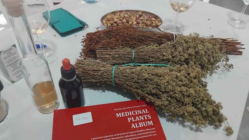 Picture 5 for Activity Limassol: Wine & Herb Tasting Experience 4