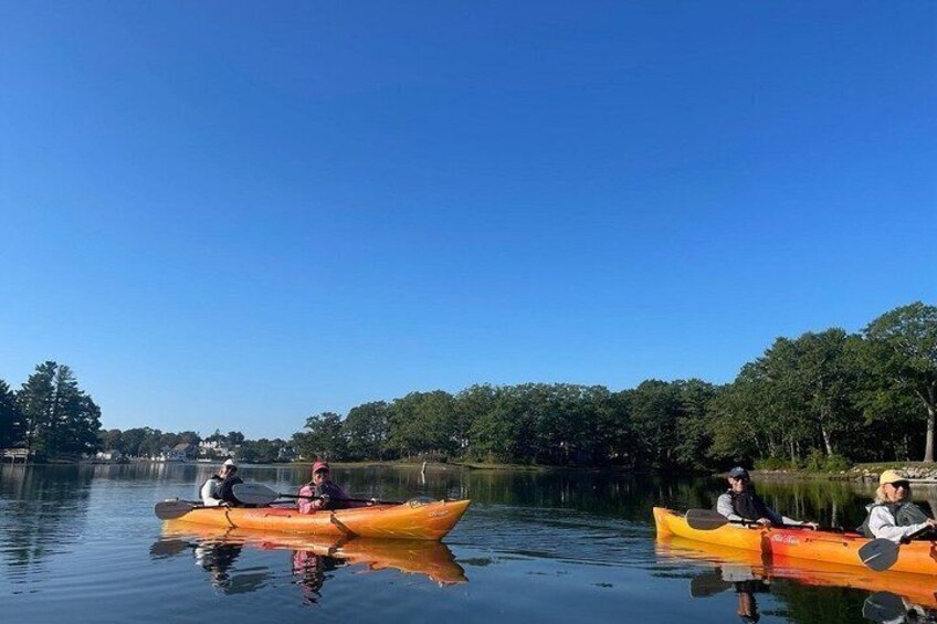 Three kayaks on calm water with a clear sky and trees in the background. 5