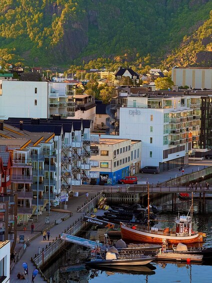A coastal town with modern buildings, a dock with boats, and a forested hill in the background. 2