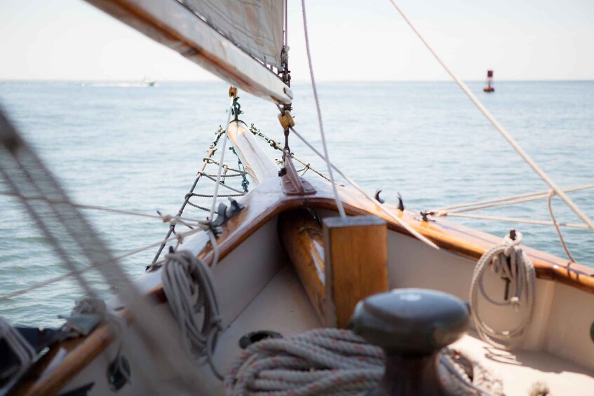 A sailboat's deck with ropes and a lifebuoy. 4