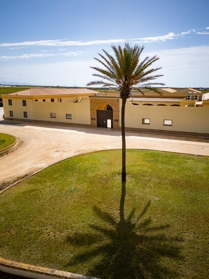 A building with a palm tree in the foreground, a curved driveway, and a clear sky. 1