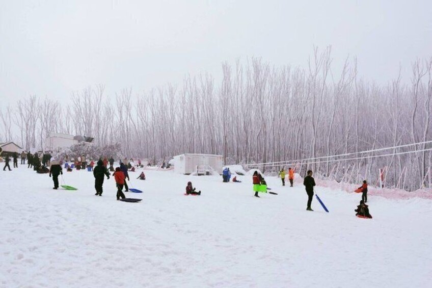 Lake Mountain Snow Experience Tour from Melbourne 2