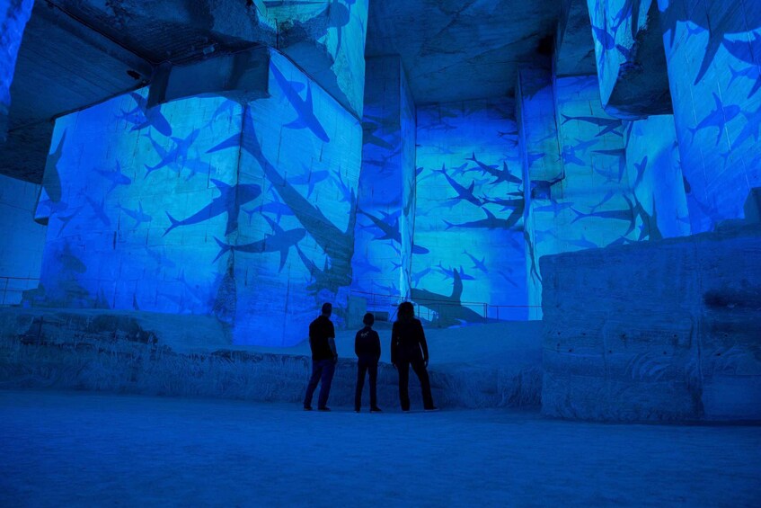 An aquarium with blue lighting and silhouettes of sharks swimming. 5