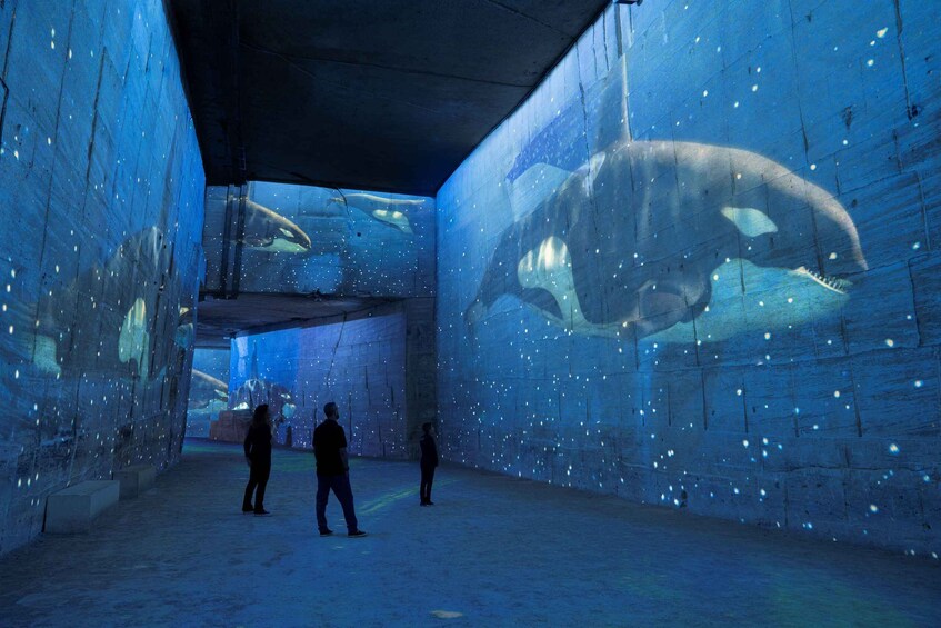 An indoor exhibit with a large whale mural and starry projections on the walls. 3
