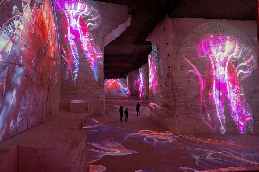 An illuminated cave with projections of jellyfish on the walls and floor. 1