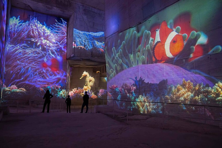 A large aquarium with colorful coral and fish projections on the walls. 2