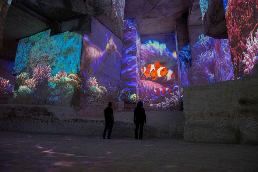 An aquarium with large digital projections of marine life and coral reefs. 4