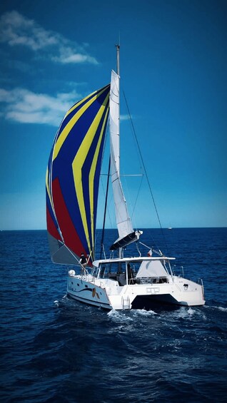 A sailboat with a multicolored sail on the ocean. 3