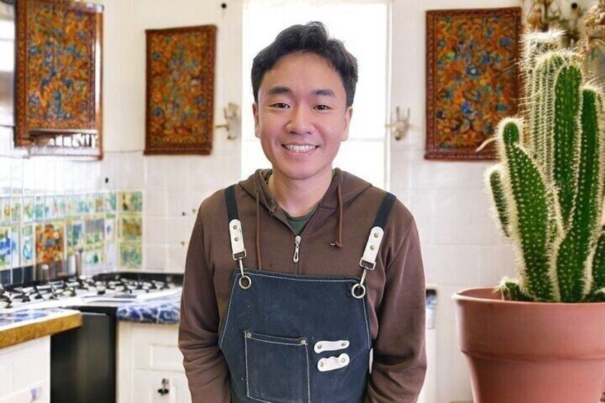 A person in a kitchen with a stove, a cactus, and colorful tiles. 1