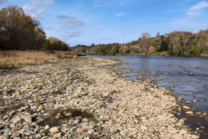 A riverbank with pebbles and rocks, a clear sky, and trees in the background. 2