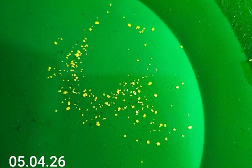 A green background with scattered yellow particles. 2