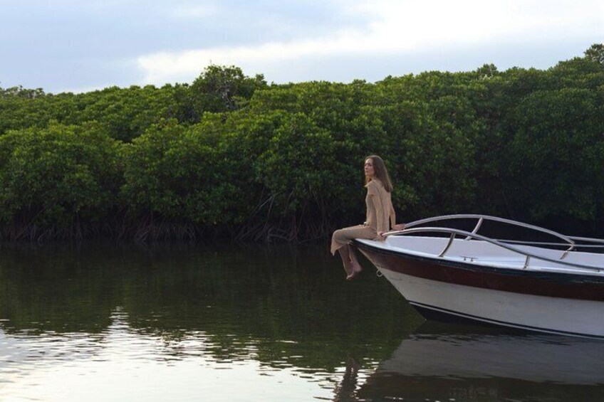 A woman sitting on a boat near a mangrove forest. 3