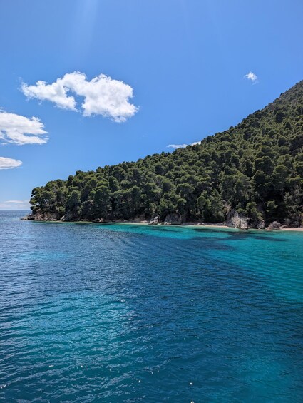A coastal landscape with clear turquoise waters, a sandy beach, and a densely forested hill. 4