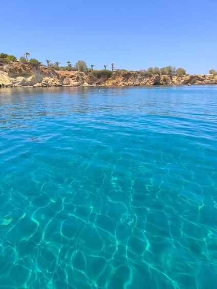 Clear blue water, rocky coastline, and sparse vegetation. 2
