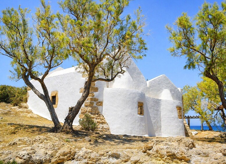 A white building with stone windows, surrounded by olive trees and rocky terrain. 5