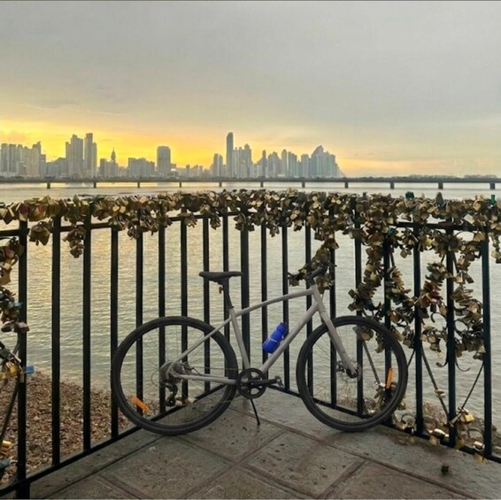 A bicycle parked by a river with a city skyline in the background. 5
