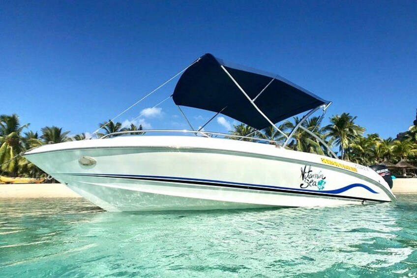 A white boat with a blue stripe and a canopy, floating on clear turquoise water with palm trees in the background. 5