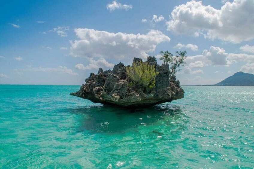 A small island with rocky terrain and sparse vegetation surrounded by turquoise waters. 4