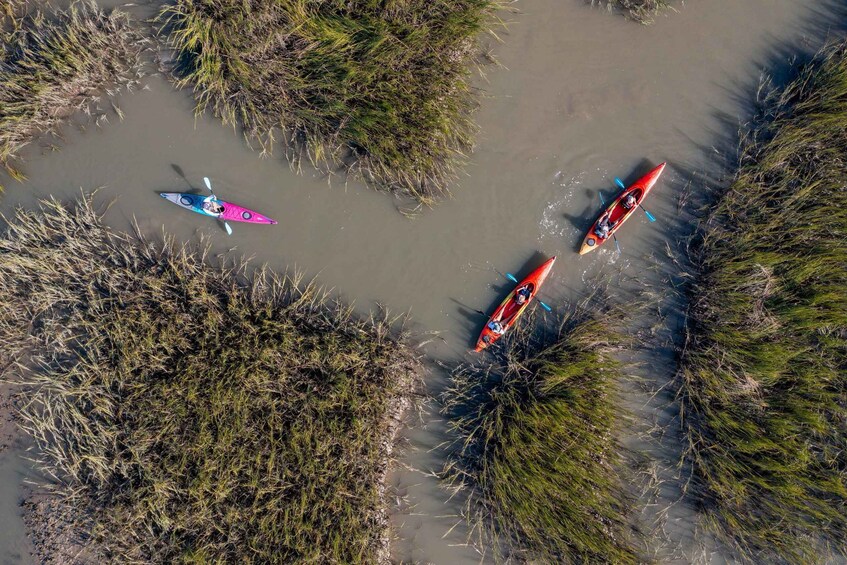Two kayaks on a muddy river surrounded by dense vegetation. 4