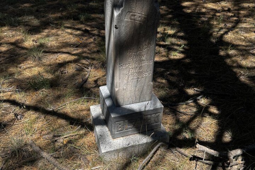 A gravestone with inscriptions, surrounded by dry grass and shadows of trees. 2