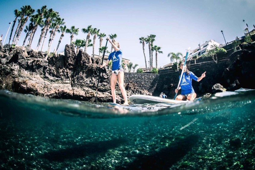 Two people on a surfboard in clear water with palm trees and rocky cliffs in the background. 2