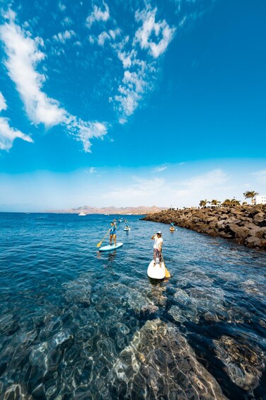People paddleboarding on clear blue water near a rocky shoreline with a clear sky. 5