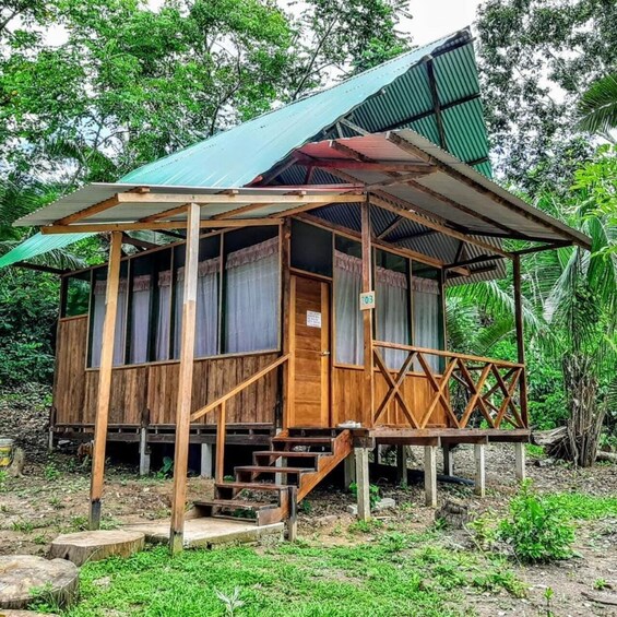 A wooden cabin with a porch and stairs, surrounded by lush greenery. 2