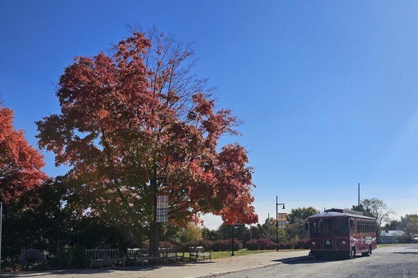 Shared Foliage Trolley Tour 5