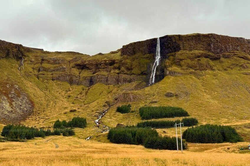 A waterfall, a river, and a grassy landscape with trees. 4