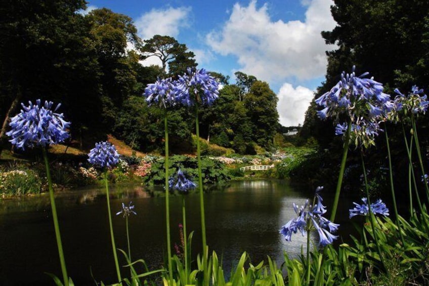 A lake surrounded by trees and blue flowers. 4