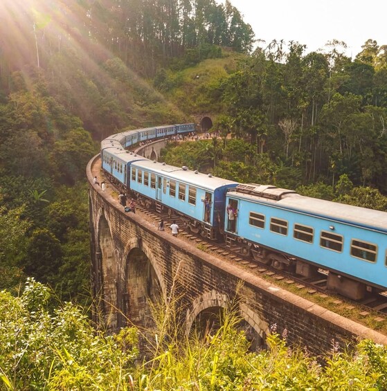 A blue train on a bridge through a forested area. 5