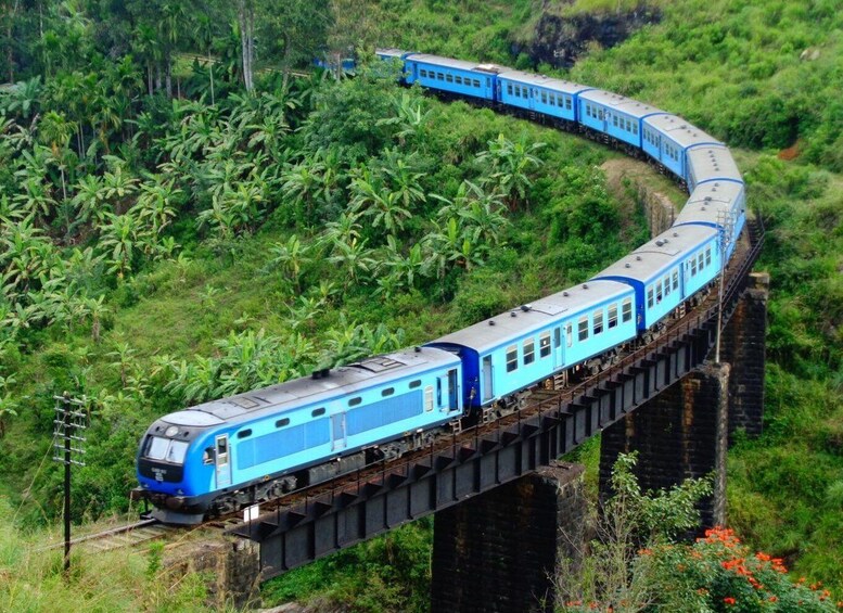 A blue train on a bridge surrounded by lush greenery. 1
