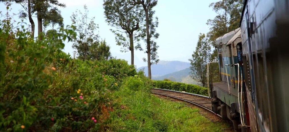 A train on tracks surrounded by greenery and trees. 4