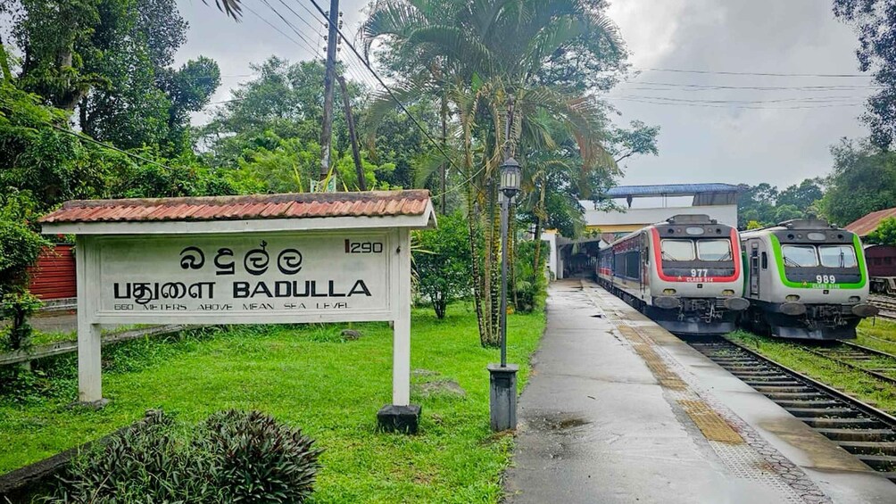 A train station with two trains, lush greenery, and a sign indicating elevation. 2
