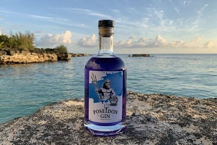 A bottle of Poseidon Gin on a rocky shore with a calm sea and a clear sky in the background. 1