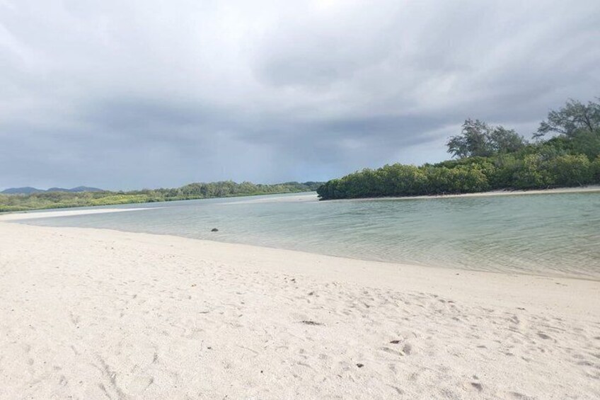 A beach with clear water, sandy shore, and dense vegetation in the background. 2