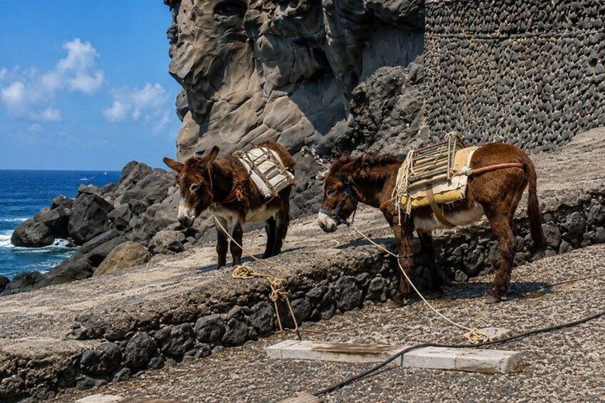 Relaxation excursion from Lipari Panarea and Stromboli. 5