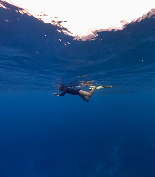 A person underwater with a surfboard, surrounded by clear blue water. 4