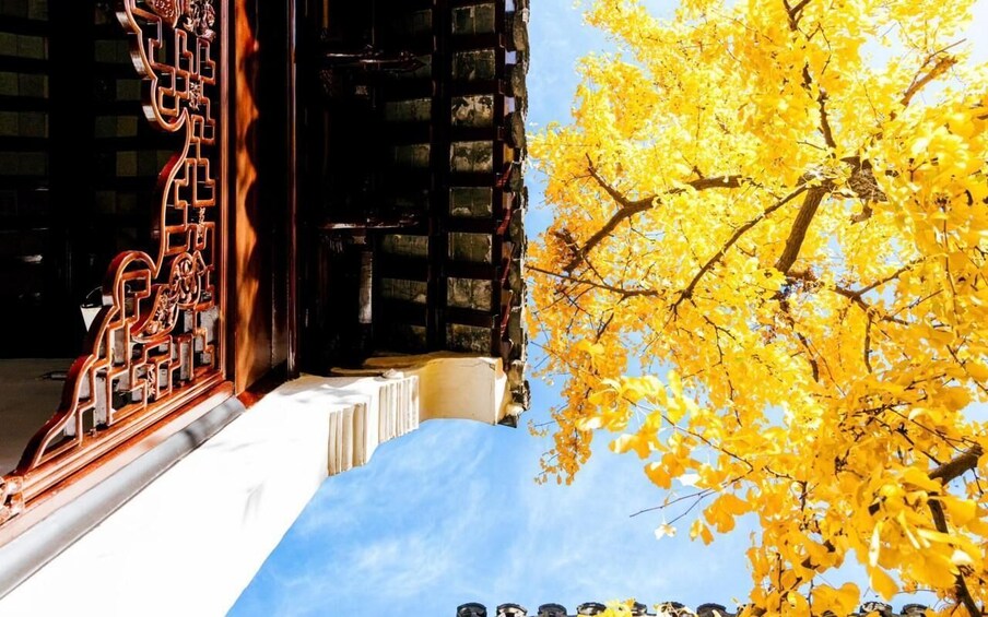 A building with intricate wooden carvings and a tree with yellow leaves. 2